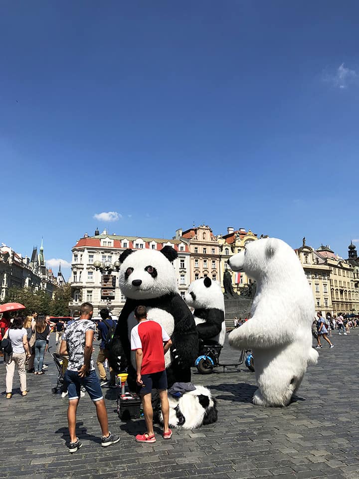 Giant Bears Old Town Square Prague