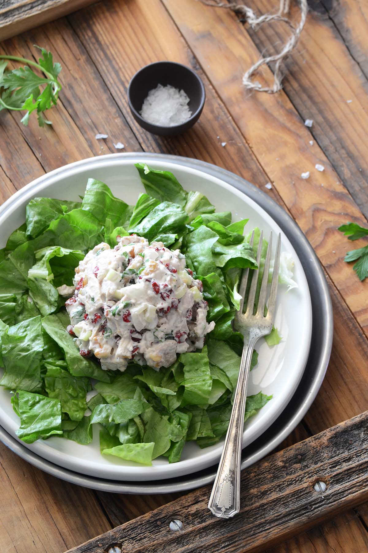 creamy chicken salad with dried cranberries and walnuts on bed of romaine lettuce