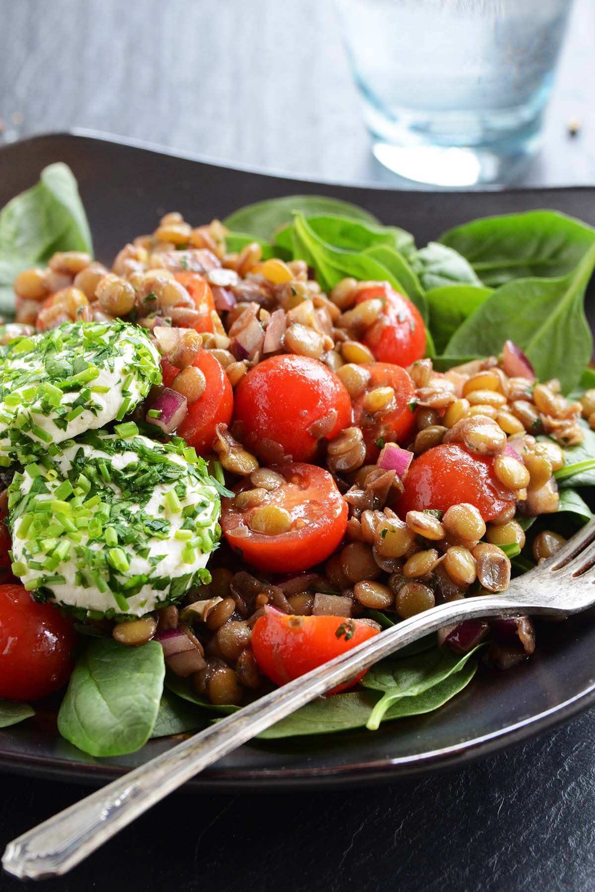 close up front view of goat cheese lentil spinach balsamic salad