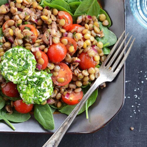 lentil salad recipe featured image