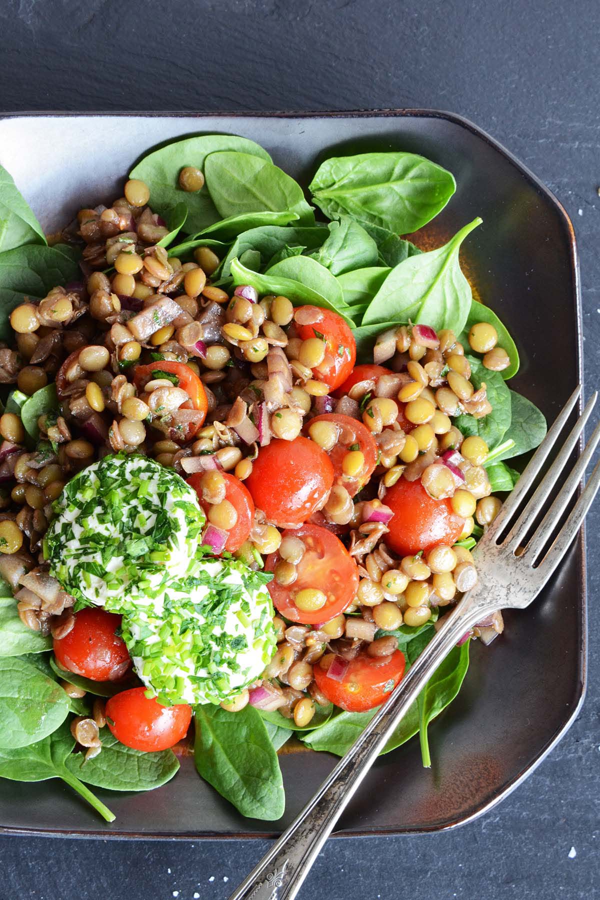 tomato lentil and spinach salad with herbed goat cheese rounds