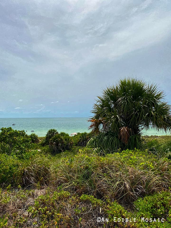 Fort De Soto Park