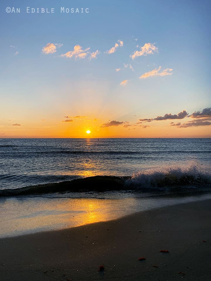 Treasure Island Beach