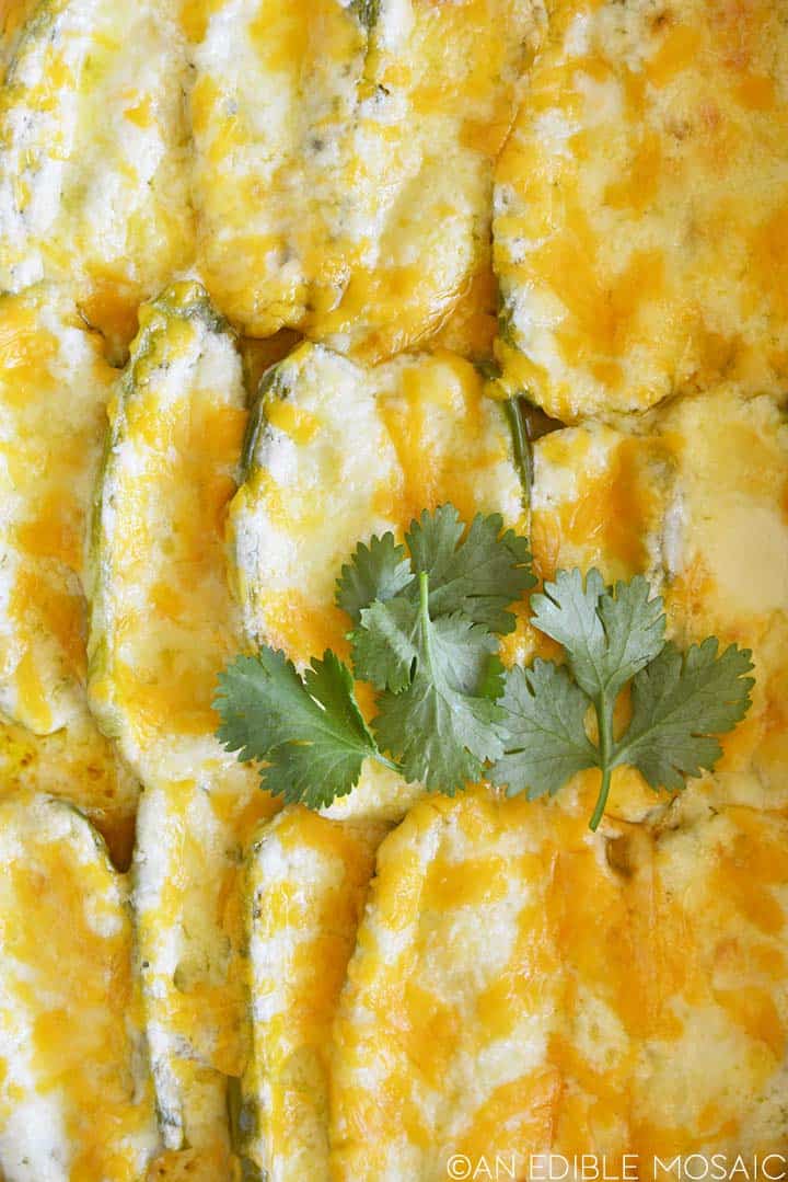 close up top view of baked jalapeno poppers