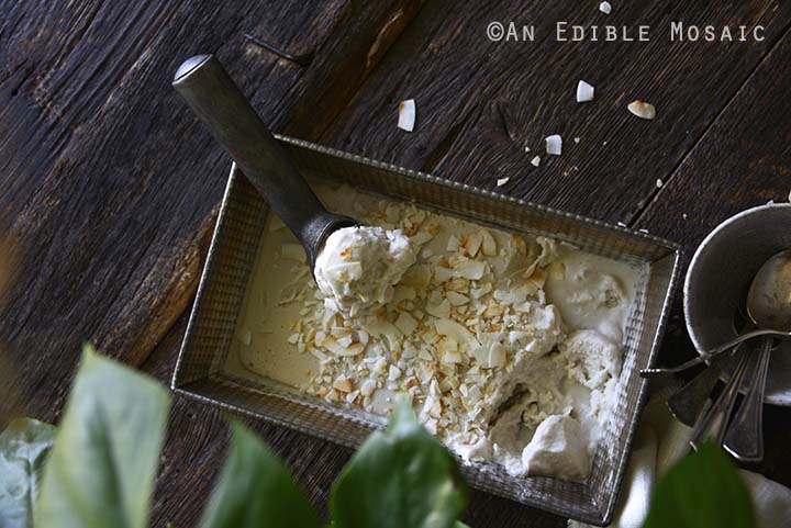 Scooping Vegan Cashew Coconut Ice Cream Recipe on Dark Wood Table