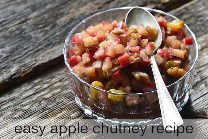 Easy Apple Chutney Recipe with Description