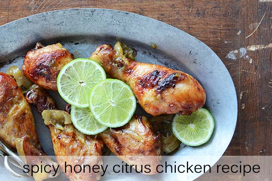 Citrus Chicken on Silver Tray with Description