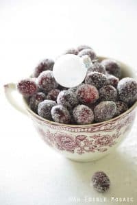 Front View of Candied Cranberries in Festive Red and White Cup