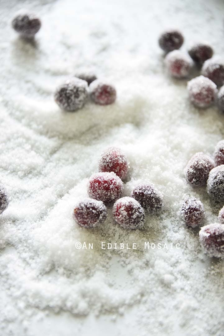 Sugared Cranberries in a Pile of Sugar