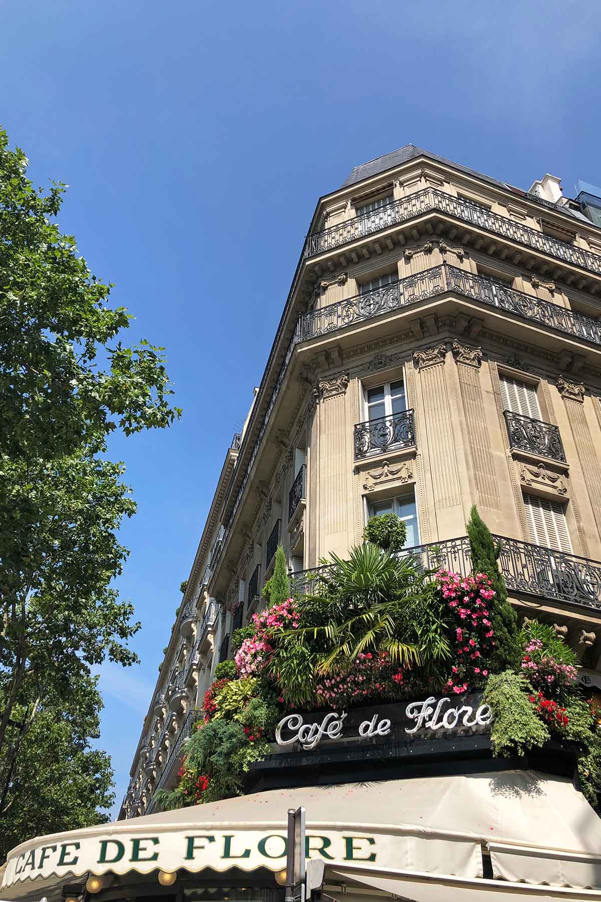 cafe de flore paris france