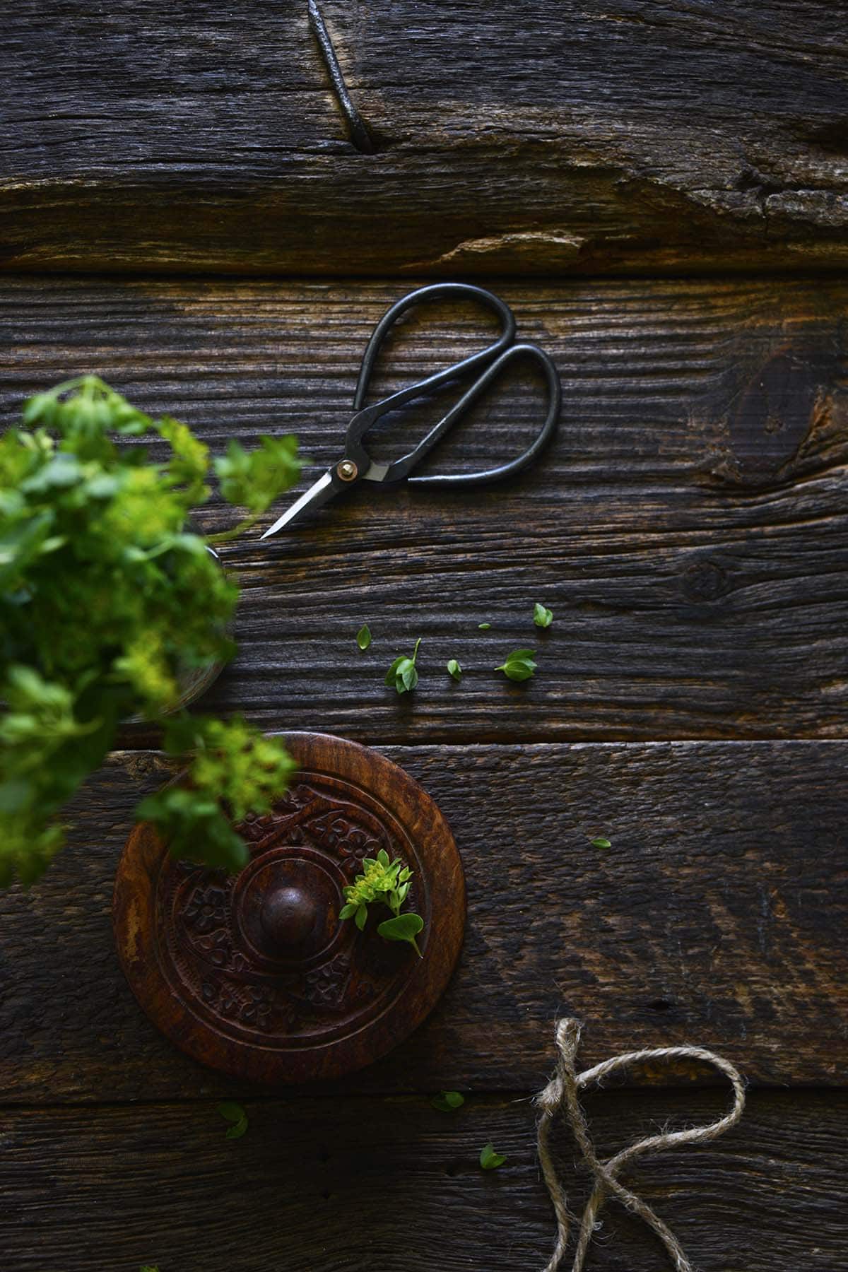 greenery on rustic dark wooden table