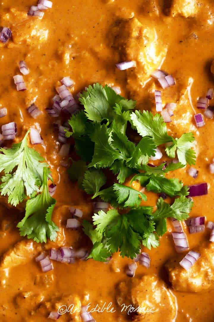 Close Up of Indian Butter Chicken
