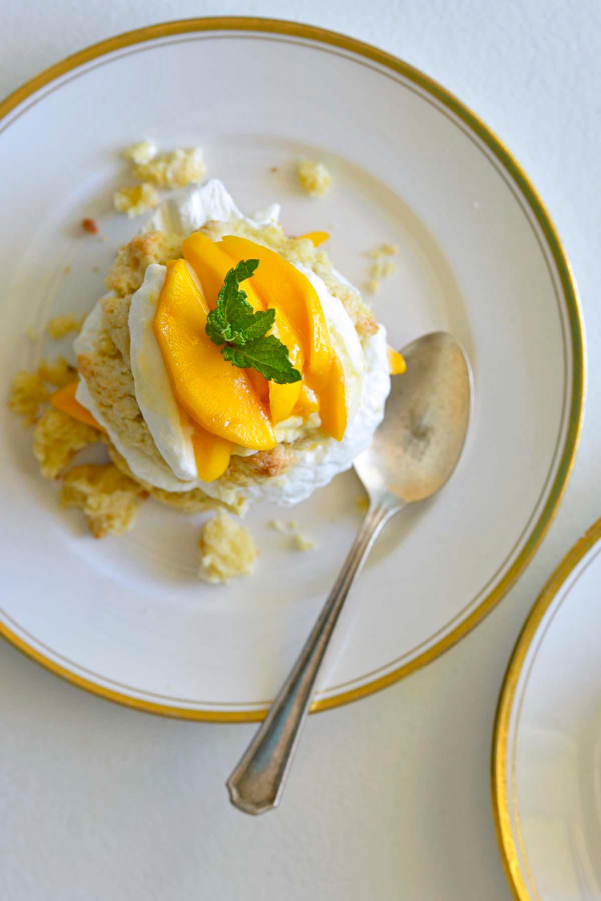 top vie woo mango short cake dessert with sweetened whipped cream and mint