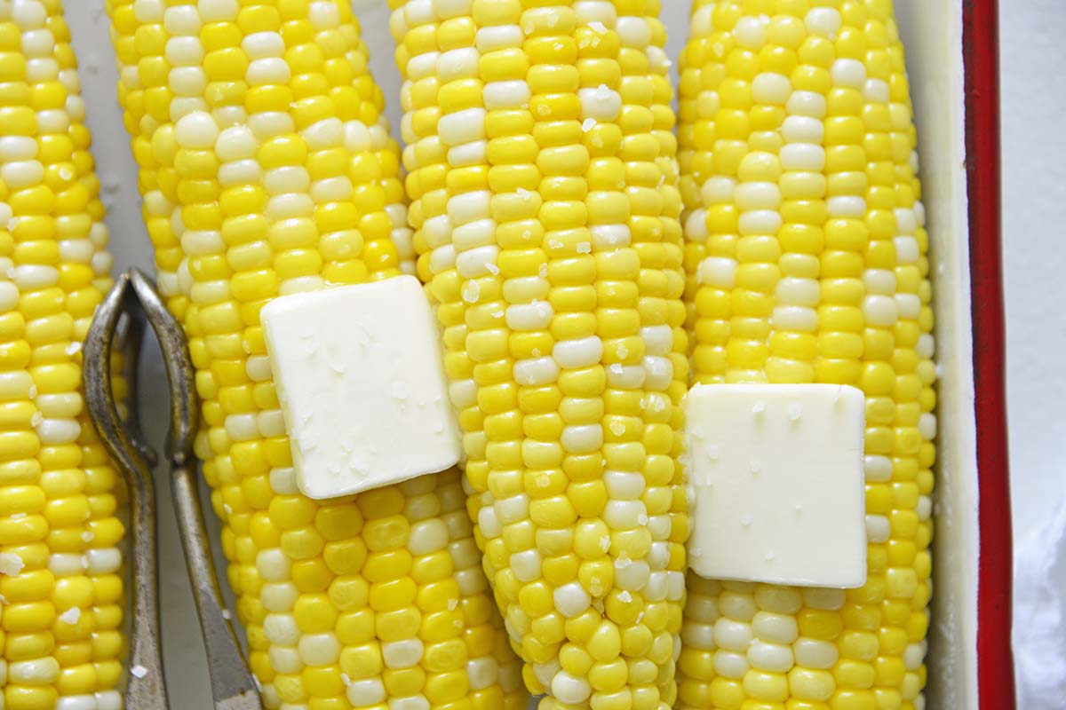 close up of buttered and salted corn on the cob