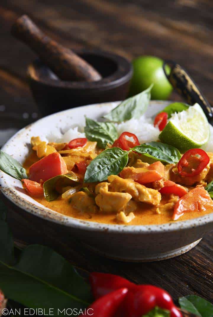 Side View of Thai Panang Curry