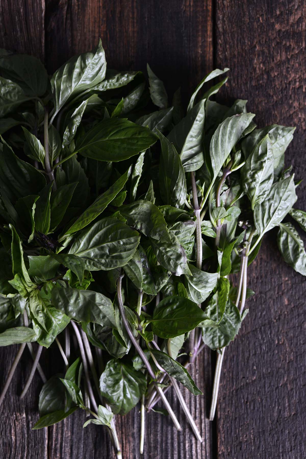 fresh Thai Basil with purple stems