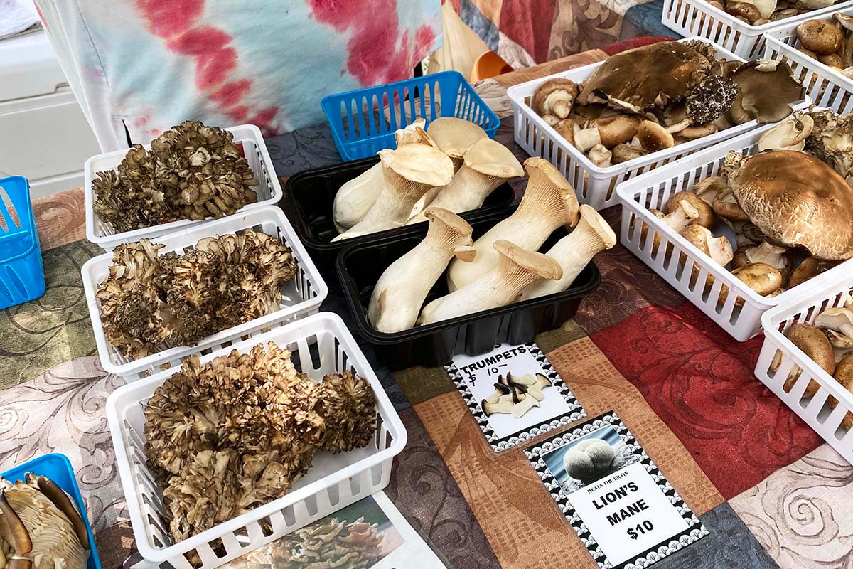 mushroom stand at St Pete farmer's market