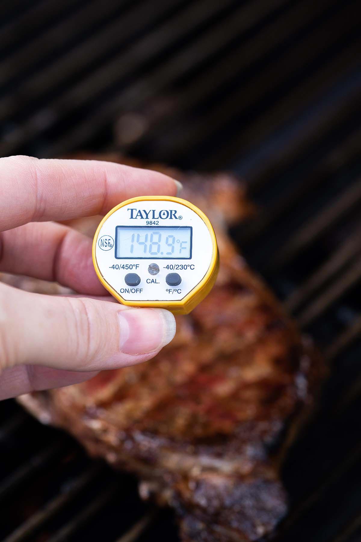 using instant read meat thermometer to check meat for doneness