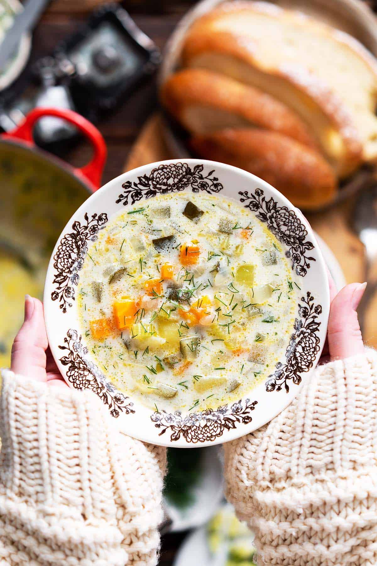 hands holding bowl of dill pickle soup