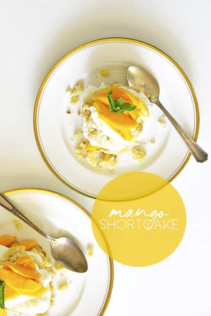 mango shortcake graphic