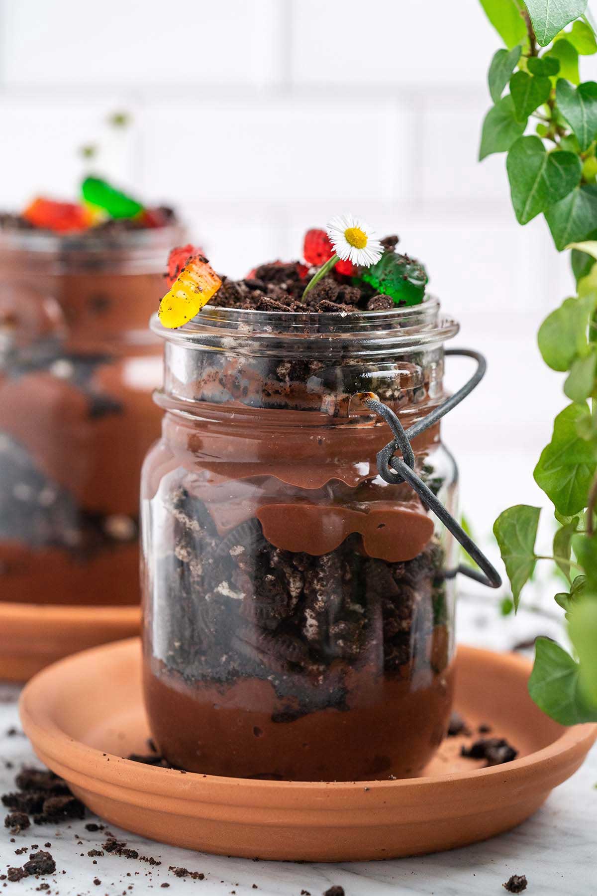 front view of dirt and worms chocolate pudding in vintage glass jar with ivy plant