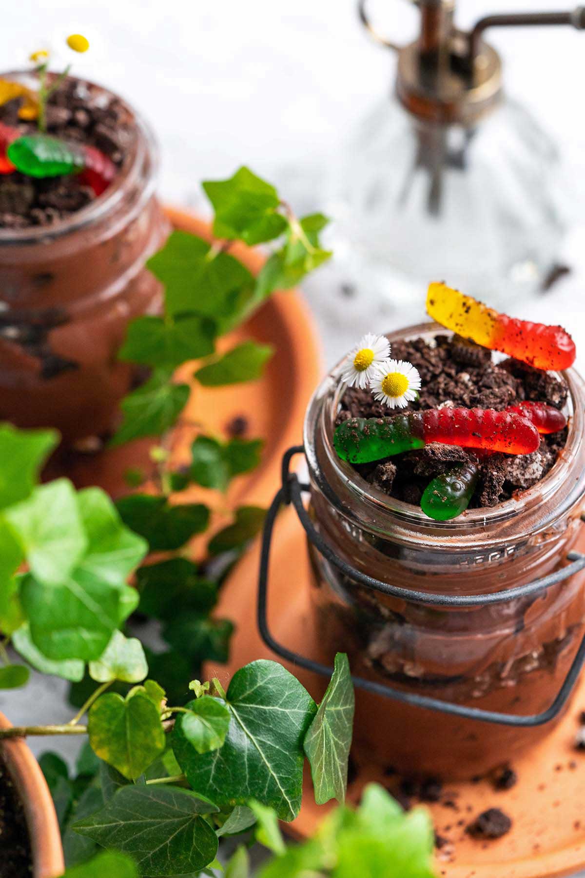 worms in dirt dessert for halloween or April fools day next to ivy plant