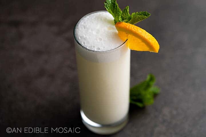 fizzy gin drink with orange and mint garnish