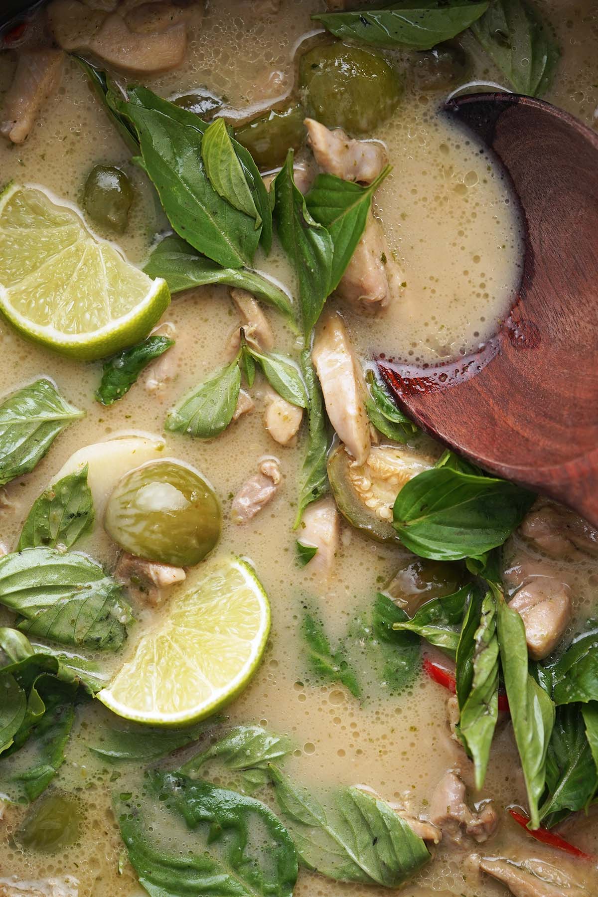 close up top view of pot of thai green curry chicken