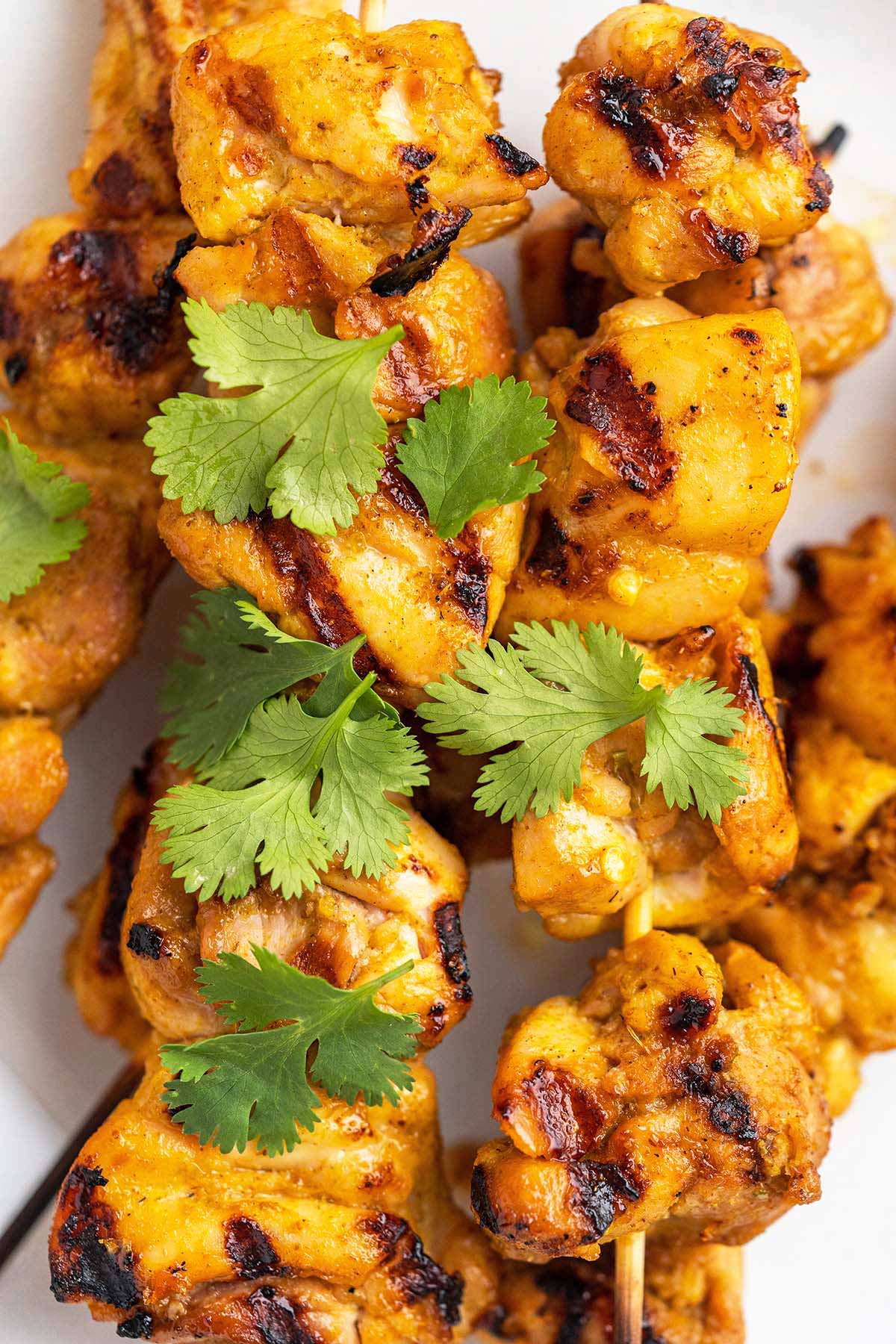 close up top view of skewered chicken peanut satay with fresh cilantro