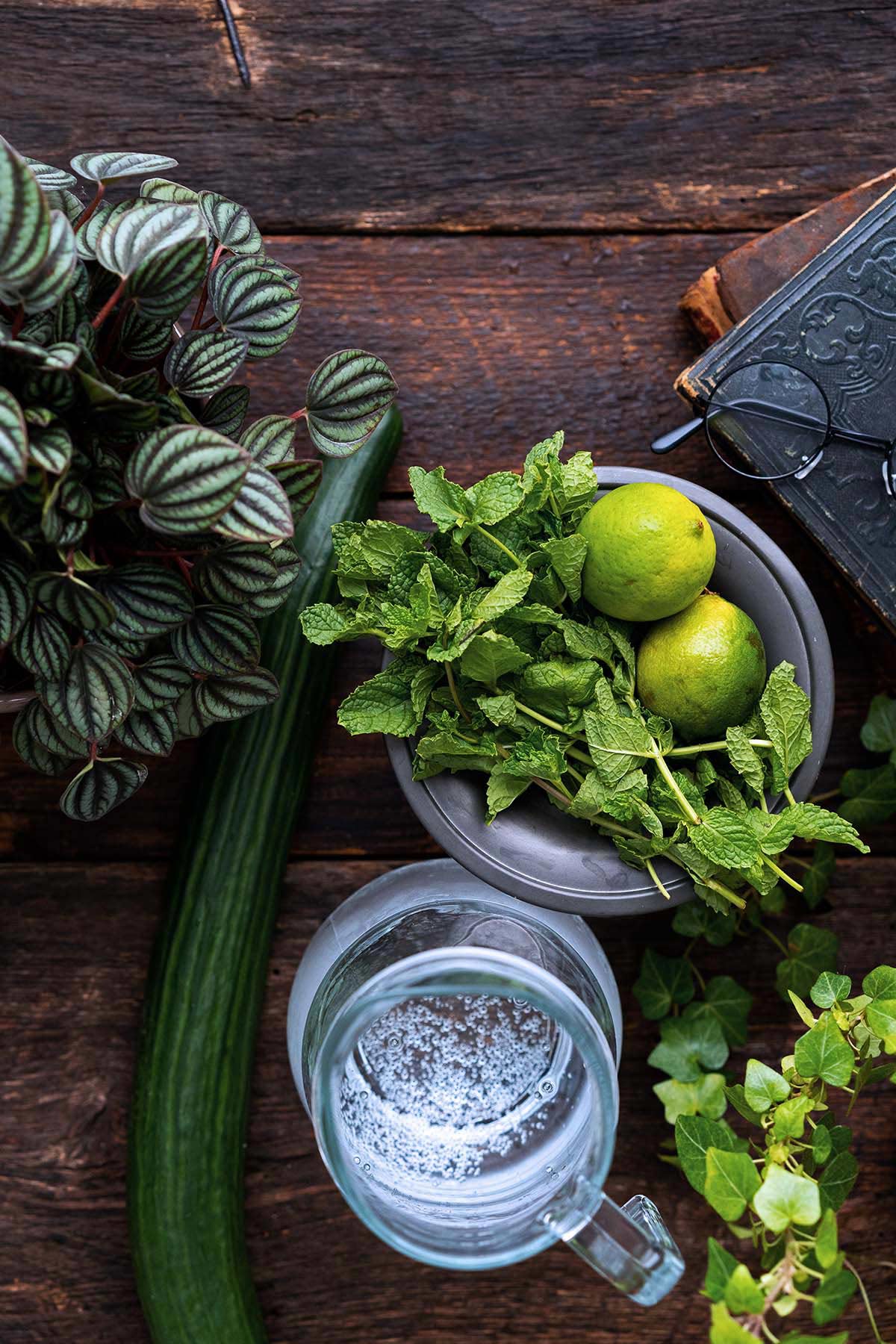 Harry Potter inspired Gillywater ingredients