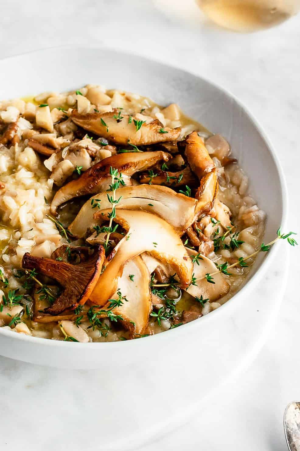 wild mushroom risotto