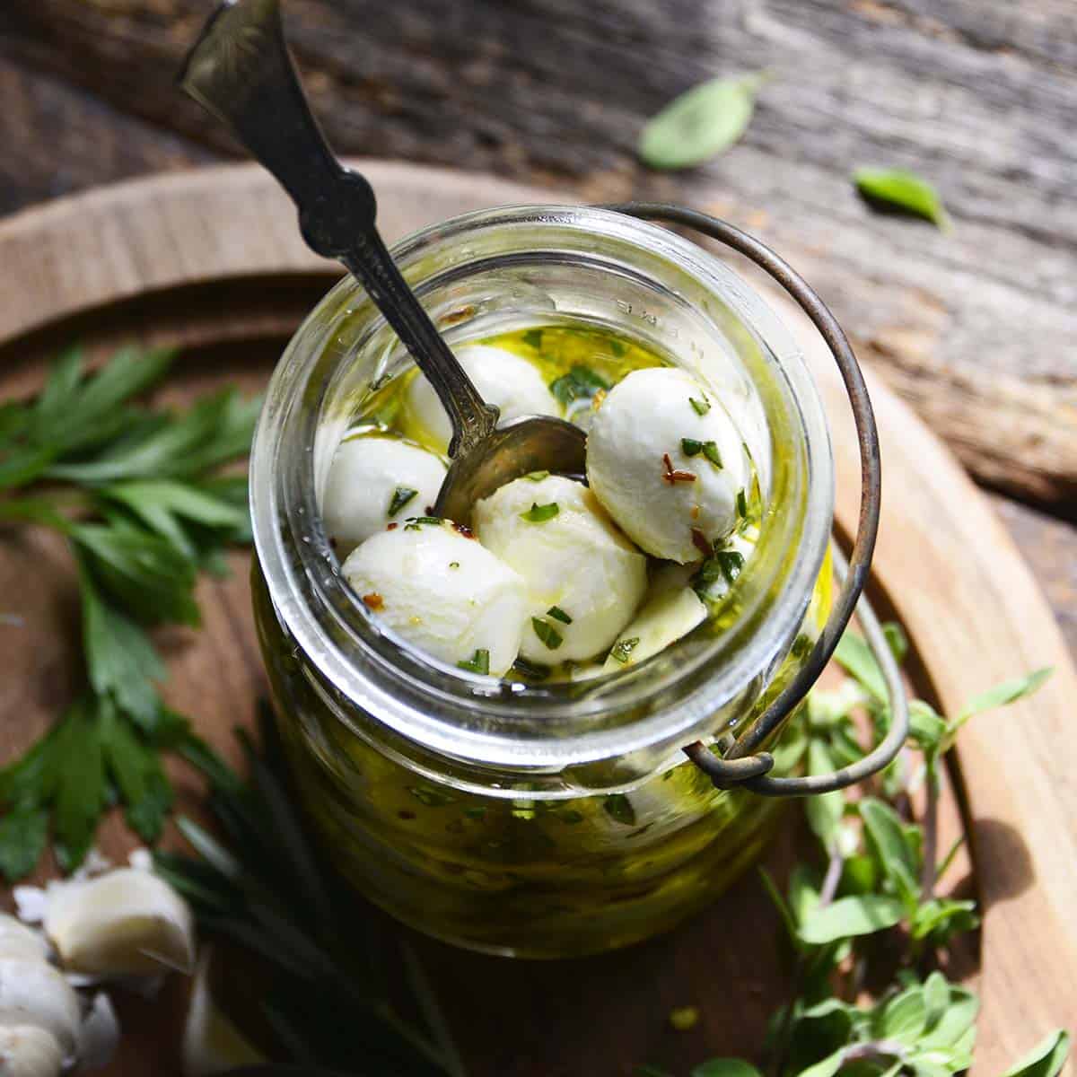 olive oil marinated mozzarella featured image