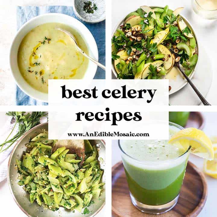 celery recipes