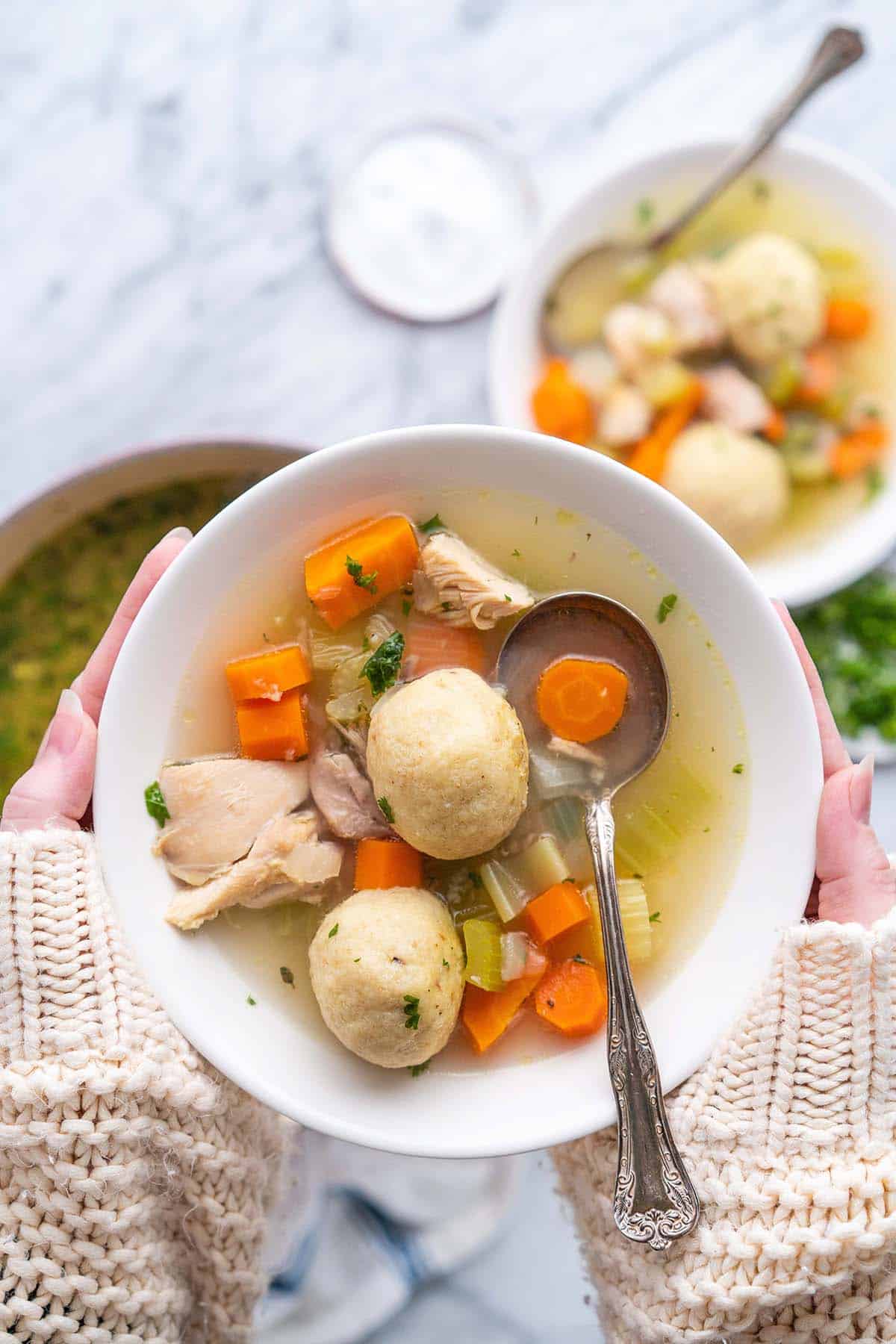 hands holding bowl of matzo ball soup with vegetables