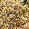 Caramelized Mushroom Rice