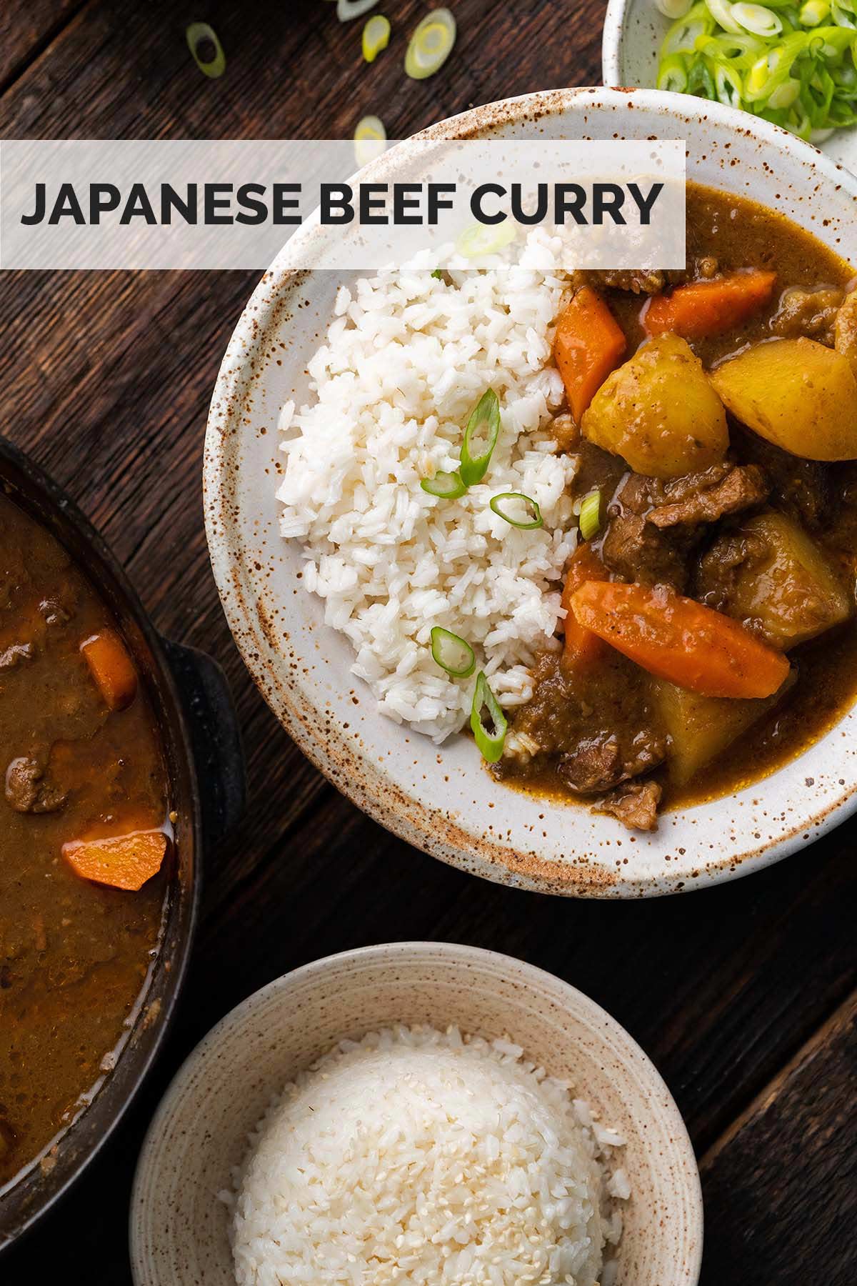 Japanese beef curry recipe pin