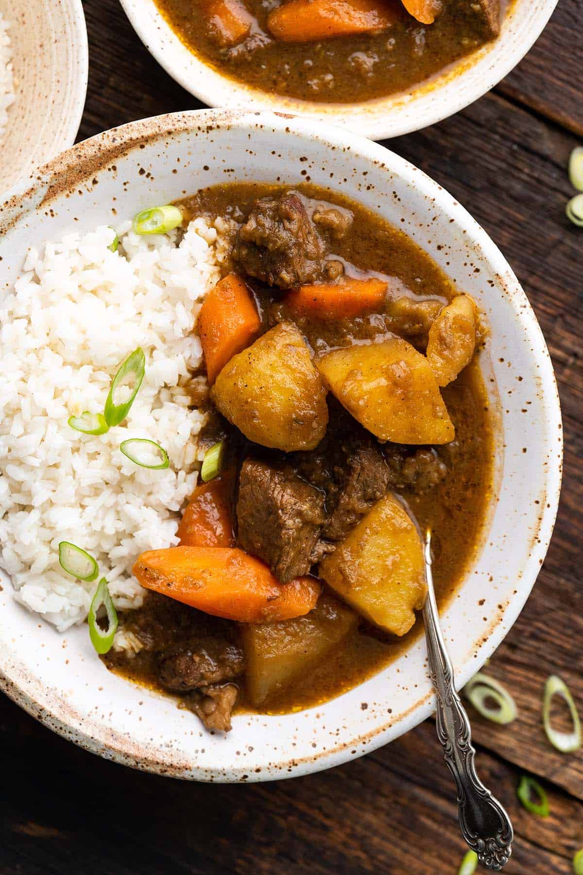 overhead view of bowl of rice and japanese beef curry made with homemade curry roux