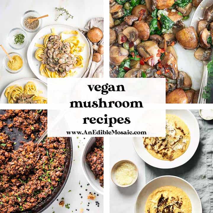 vegan mushroom recipes