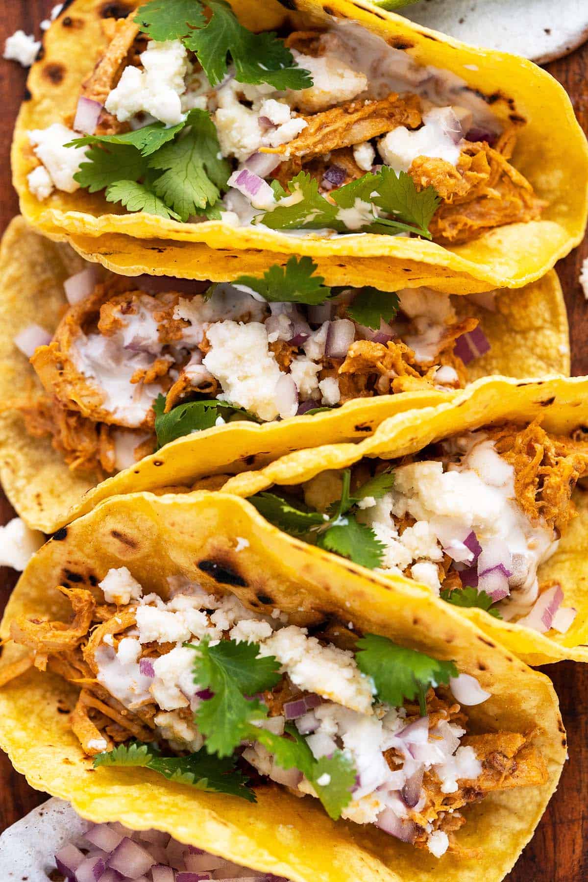 close up top view of shredded chicken tacos in corn tortillas