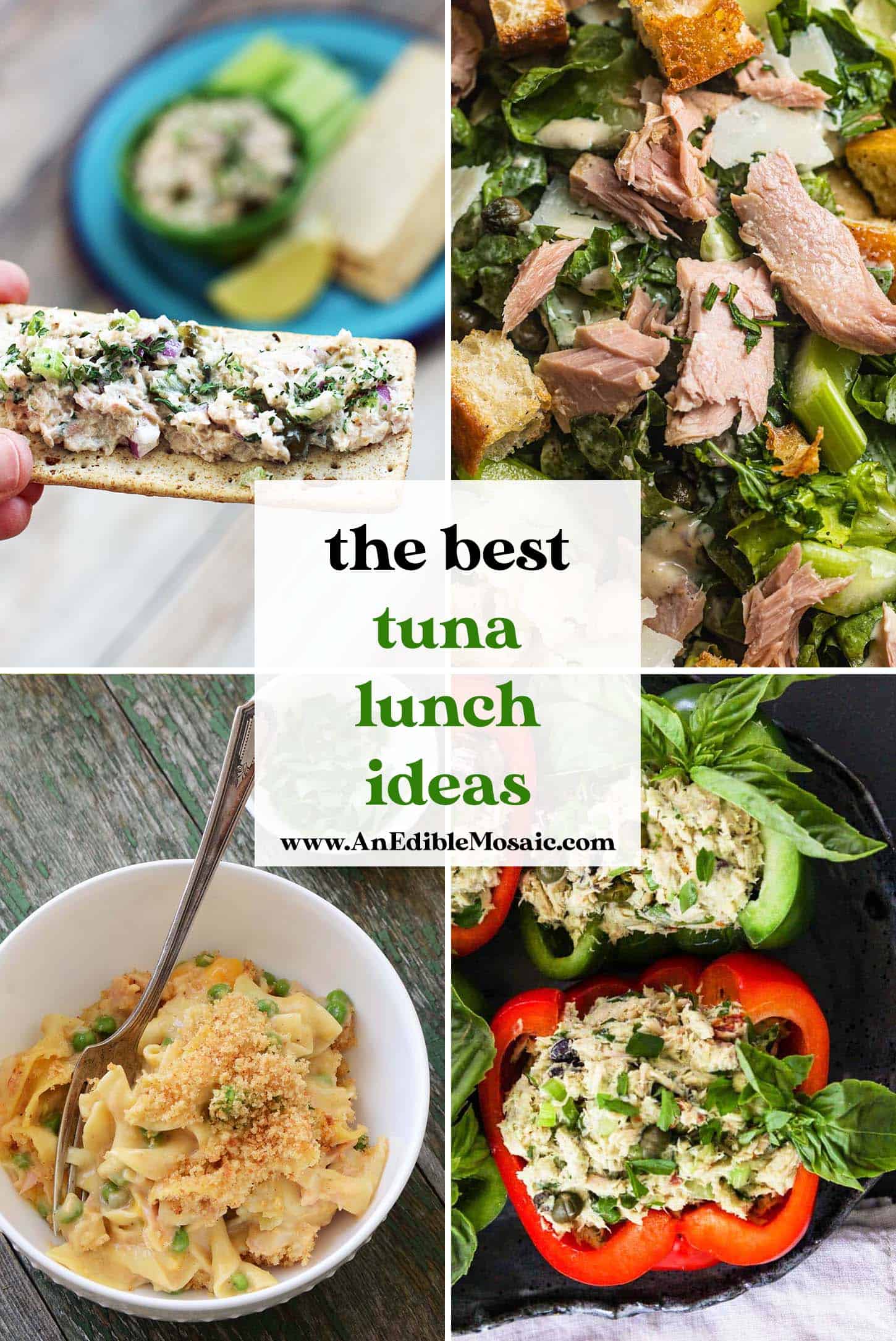 the best tuna lunch ideas pin