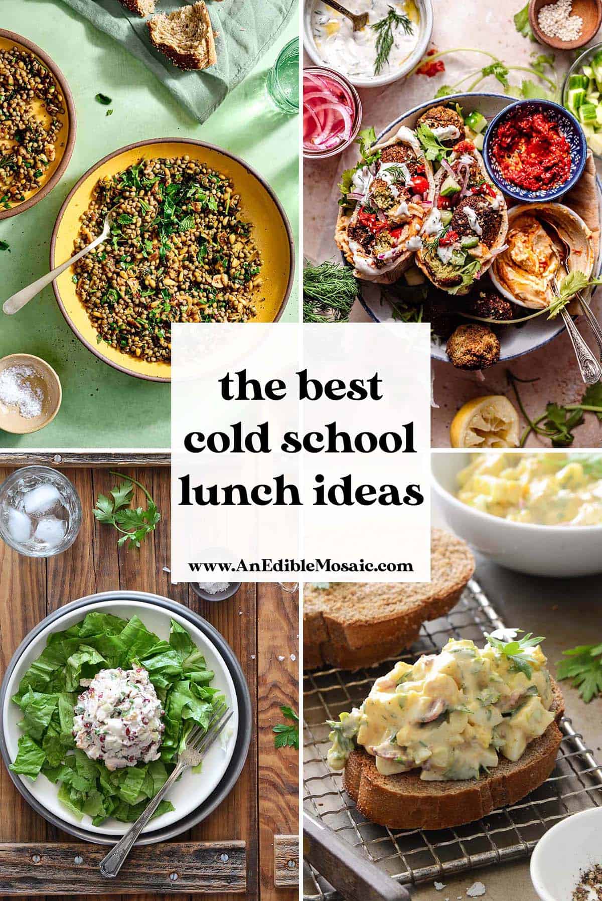 the best cold school lunch ideas pin