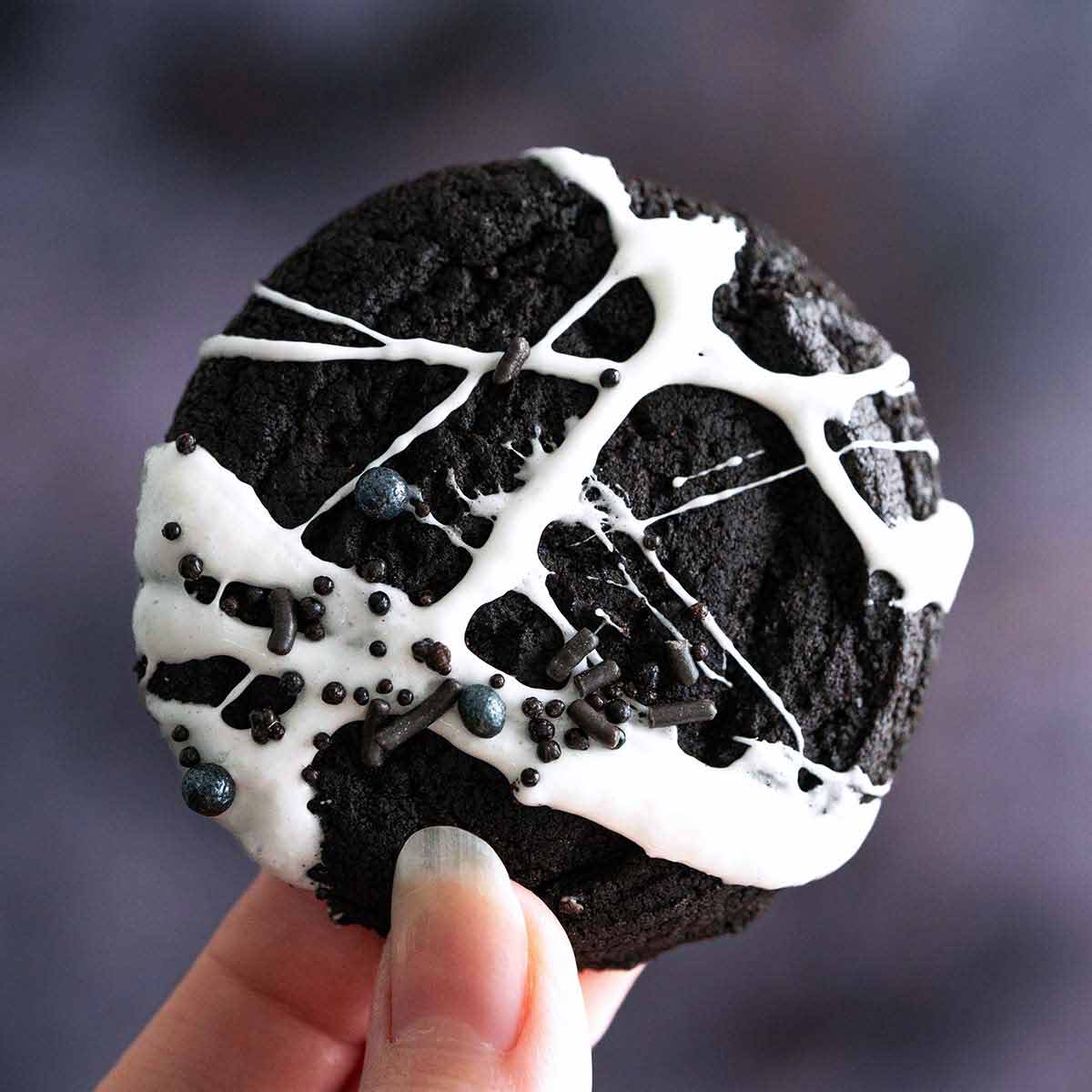 Easy Cobweb Halloween Cookies Recipe {video} - An Edible Mosaic™