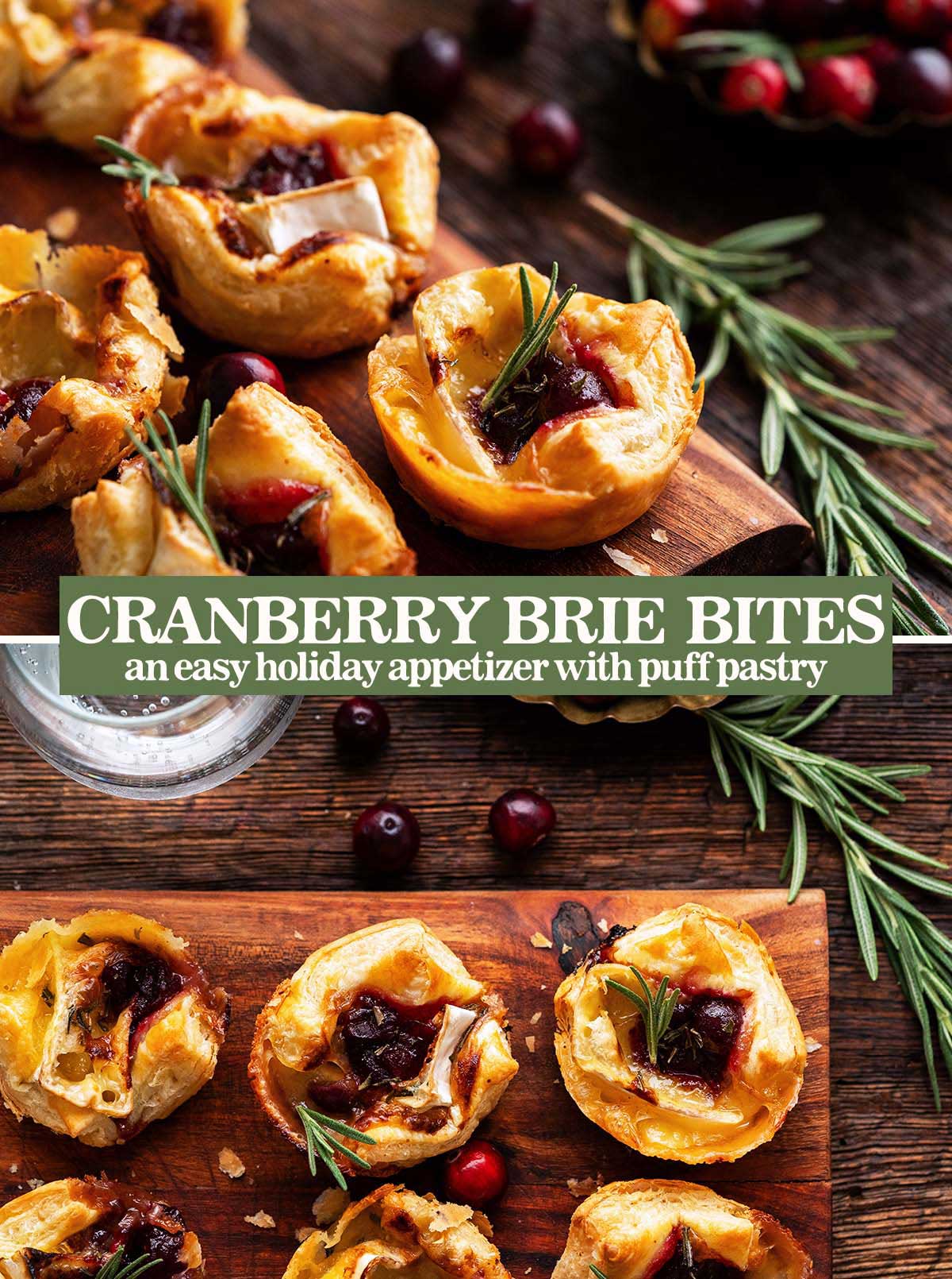 brie and cranberry bites holiday appetizer recipe pin