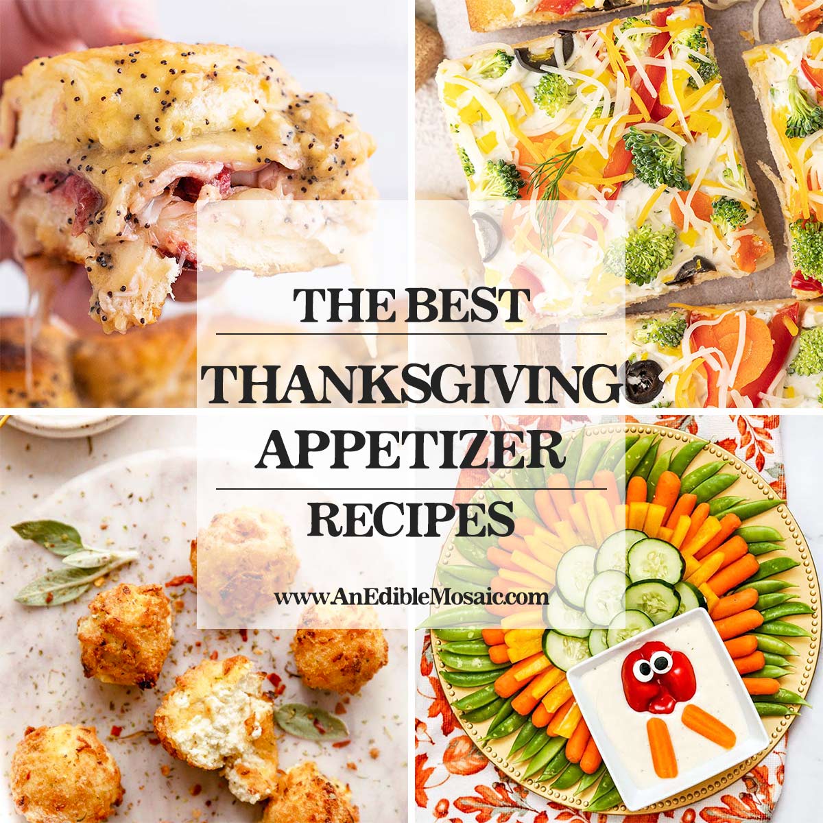 the best thanksgiving appetizer recipe ideas