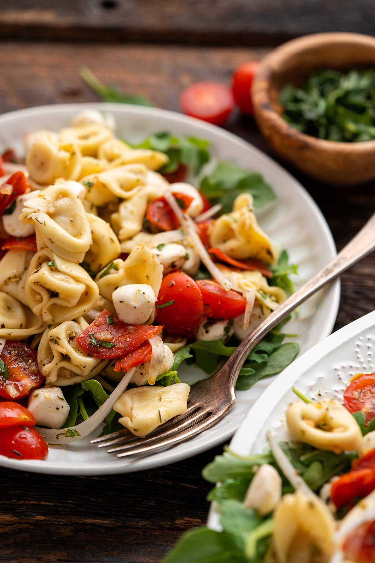 front view of plate with italian tortellini salad with fresh basil