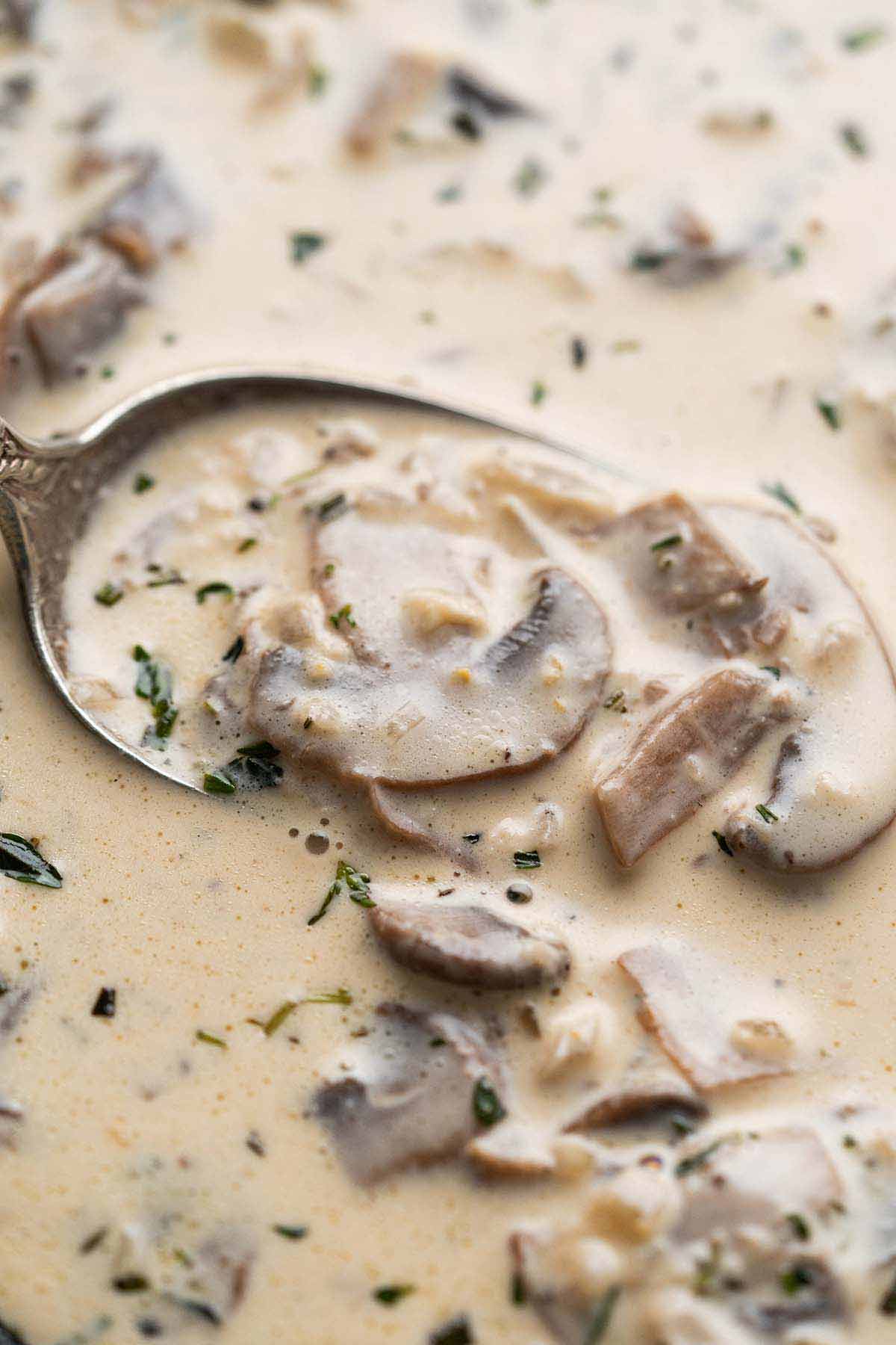 close up of creamy peppercorn mushroom sauce