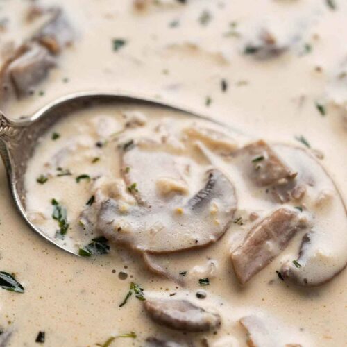 peppercorn mushroom sauce featured image
