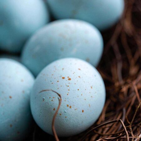 how to make natural blue food coloring to dye easter eggs