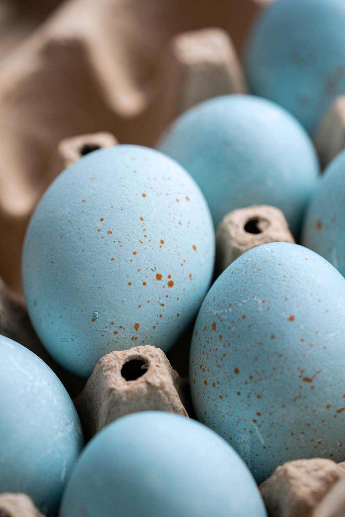 naturally dyed blue robins eggs for easter