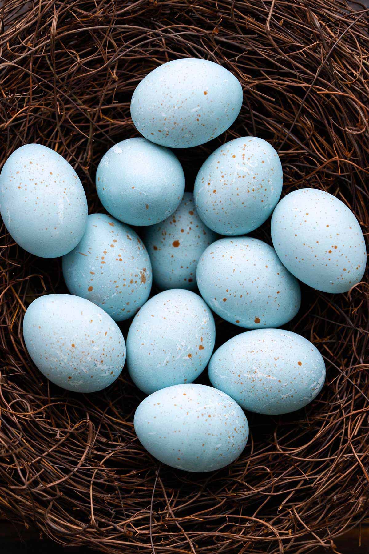 overhead view of hard boiled eggs dyed blue for easter in birds nest